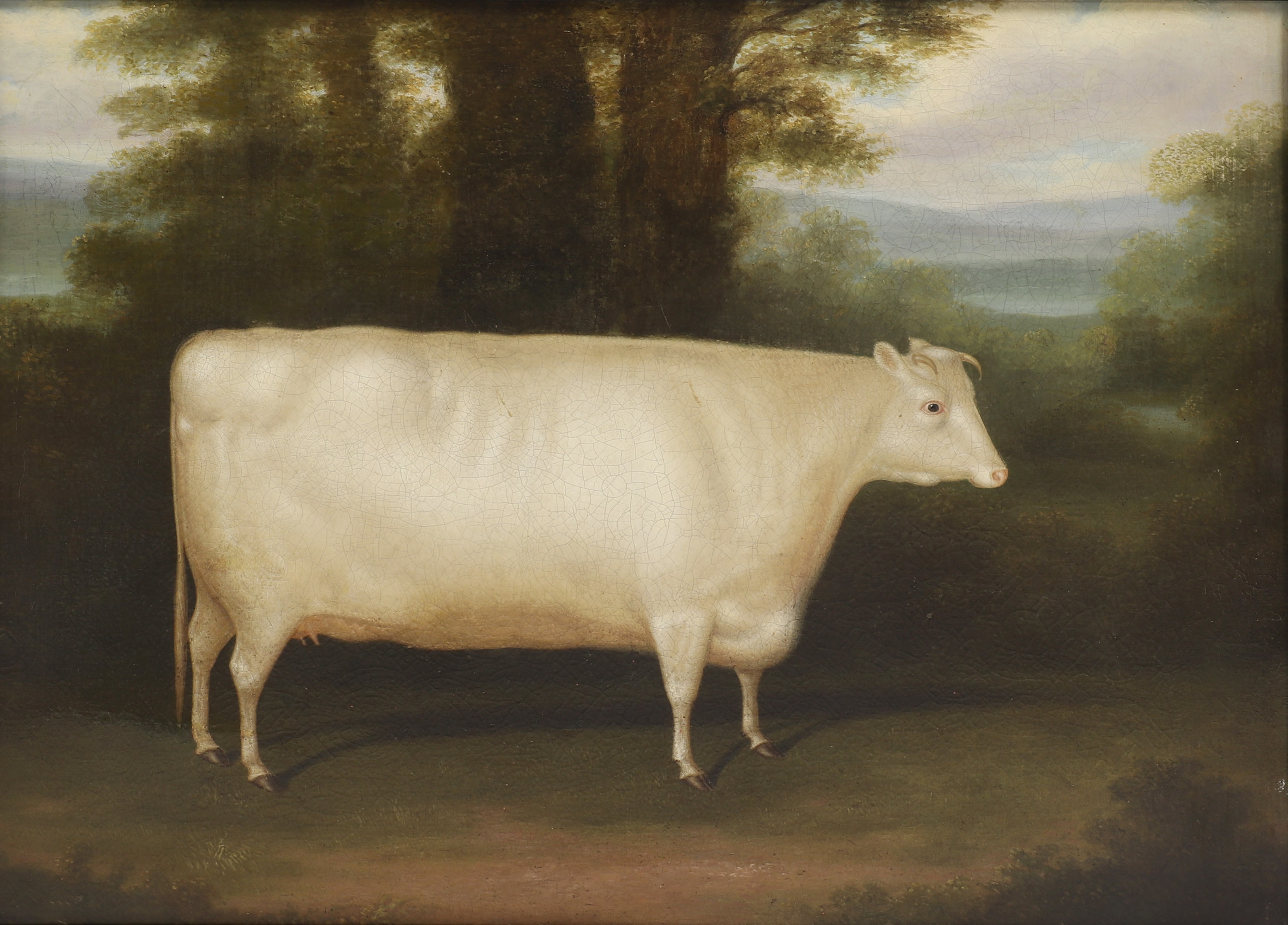Attributed to William Henry Davis (1783-1865) A prize cow in a wooded landscape oil on canvas 51 x 66cm (£1,500-2,500)